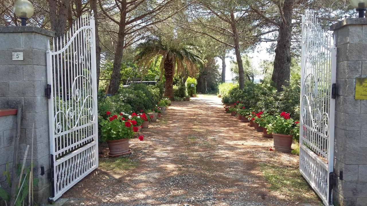 Campo Alle More Чечина Екстер'єр фото