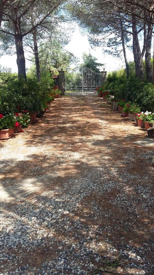Campo Alle More Чечина Екстер'єр фото