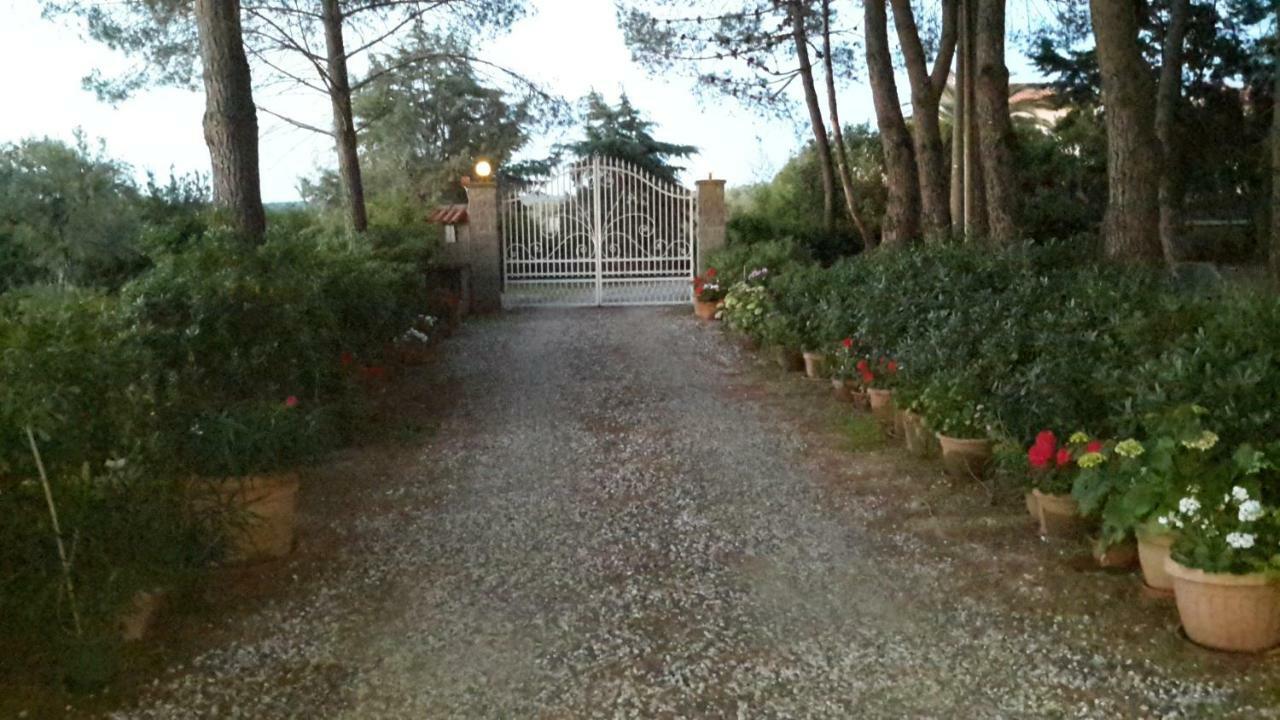 Campo Alle More Чечина Екстер'єр фото