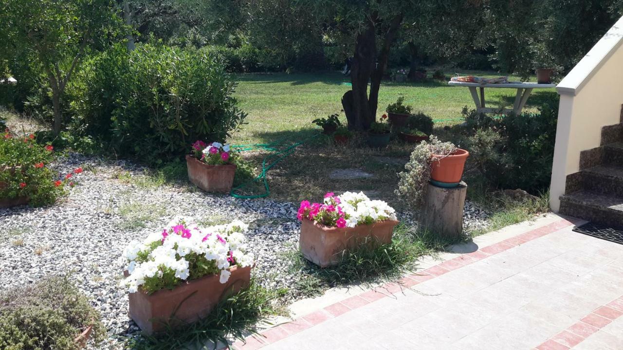 Campo Alle More Чечина Екстер'єр фото