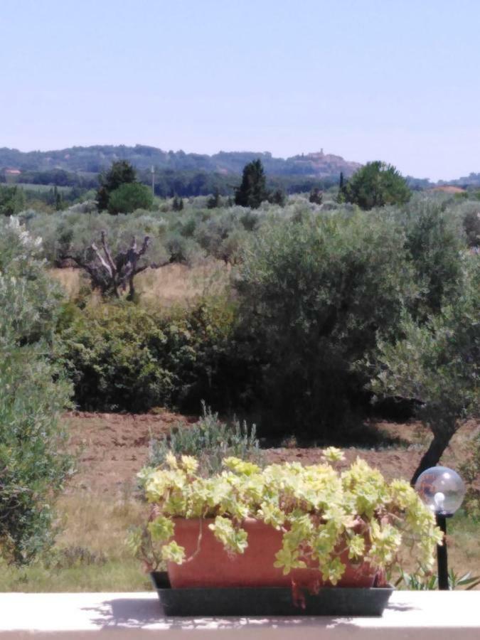 Campo Alle More Чечина Екстер'єр фото